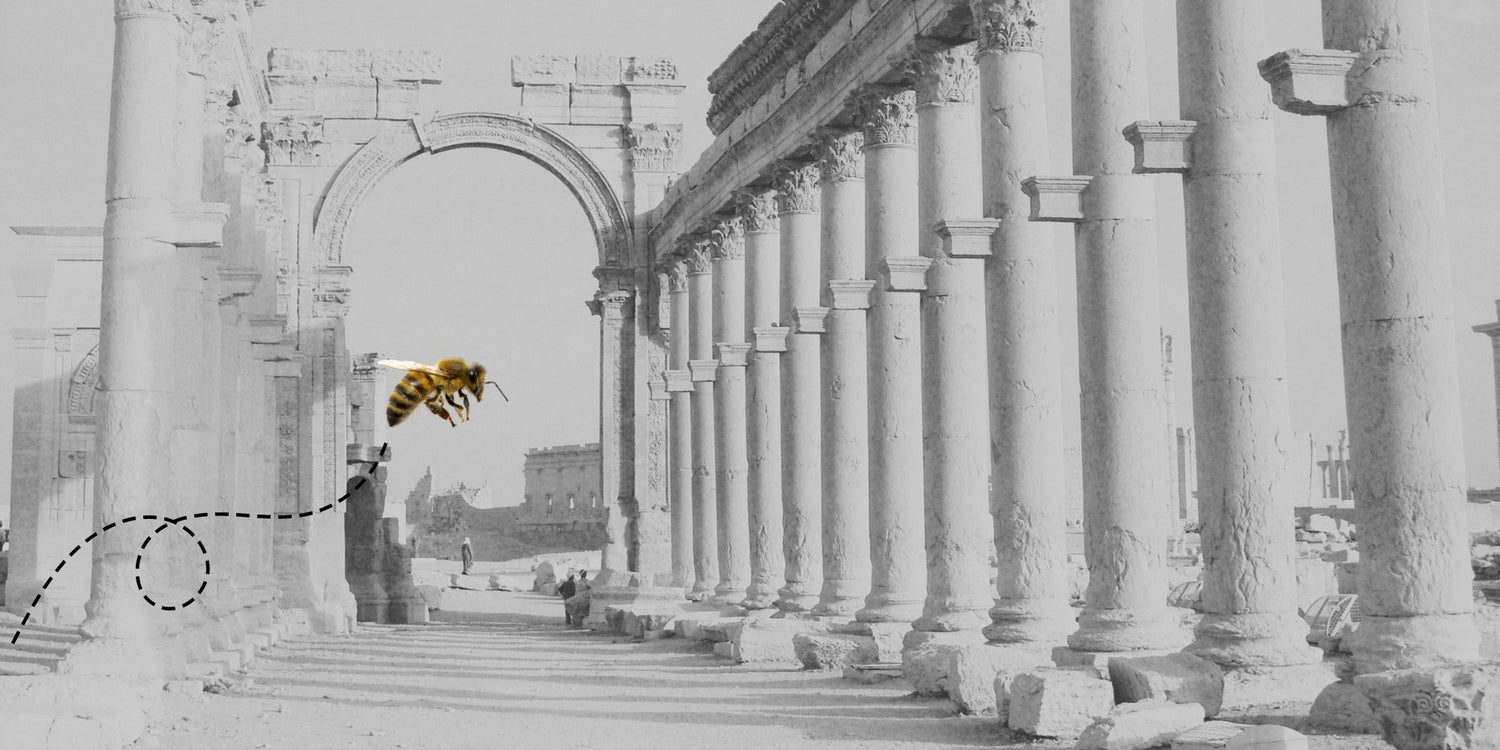 Méhészkedés, mint foglalkozás történelme - Nagy Vitamin